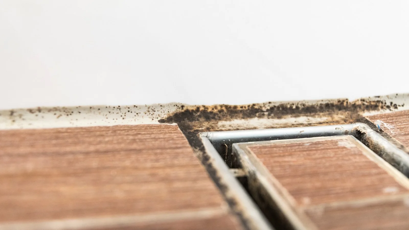 Black mould growing along a bathroom silicone sealant joint, the stain a spray cannot shift.